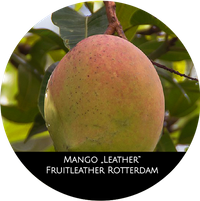 Mango_Leather